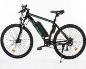 EAGLE Electric Bike