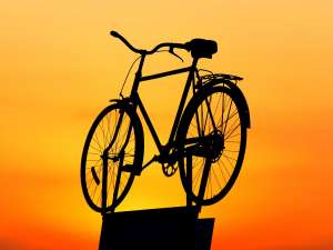 Independent bike shop workshop in Buckingham showing professional tools, quality road, mountain, and electric bikes available for sale and servicing.