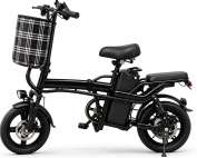 Folding Electric Bike 14" for Adults, 250W, 48V Removable Battery