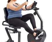 Sunny Health & Fitness Smart Recumbent Exercise Bike for Low-Impact Cardio